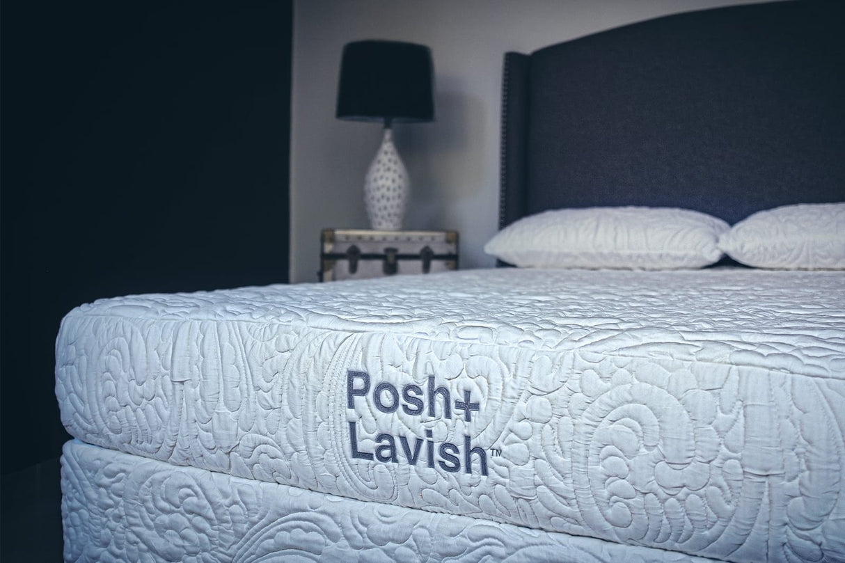 Posh & Lavish - Relax