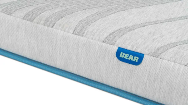 Bear Trundle Mattress - Image 4