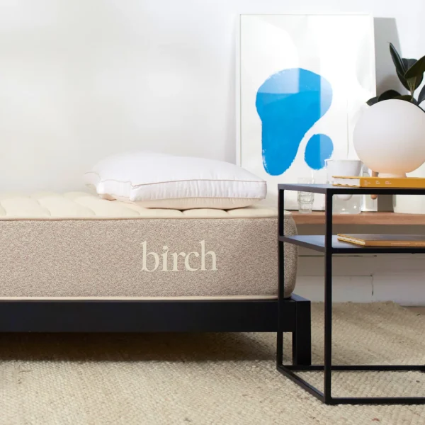 Birch - Natural Mattress - Image 6