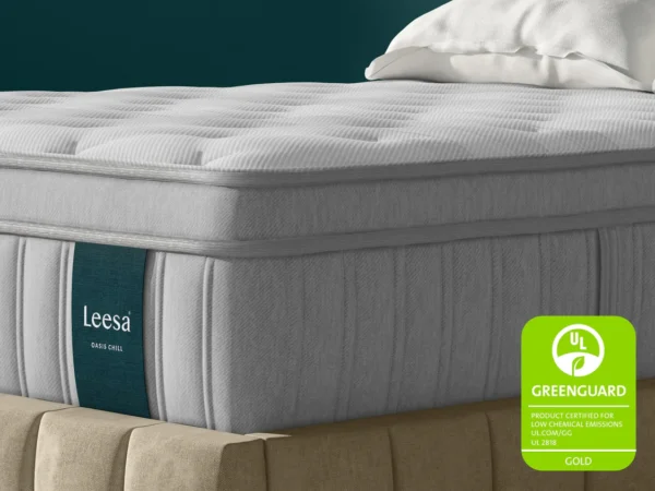 LEESA - Oasis Chill Hybrid Firm - Image 4