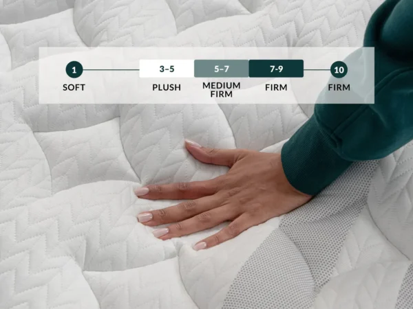 LEESA - Sapira Chill Hybrid Mattress Plush - Image 3