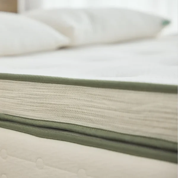 Avocado Green Mattress - Box Top - Image 2