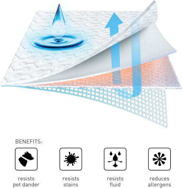 BedGear Dri-Tec Mattress Protector - Image 2