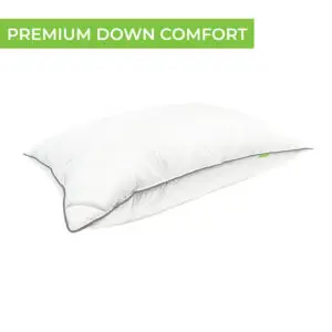 Cariloha Feather Down Pillow