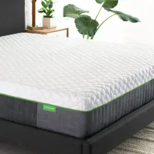 Cariloha Resort Bamboo Mattress on a modern bed frame with a plant in the background, showcasing comfort and quality for restful sleep.