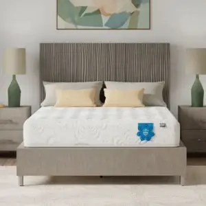 PranaSleep Asha Classic Firm mattress on a contemporary bed frame with decorative pillows, positioned in a stylish bedroom setting with lamps and artwork.