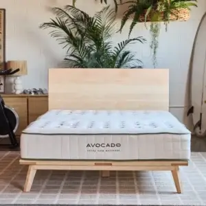 Avocado Green Mattress displayed on a minimalist wooden bed frame with natural decor, showcasing eco-friendly bedding options for restful sleep.